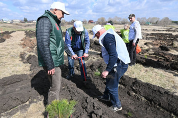 В Кушнаренковском районе высадили геоглиф «Победа - 80»