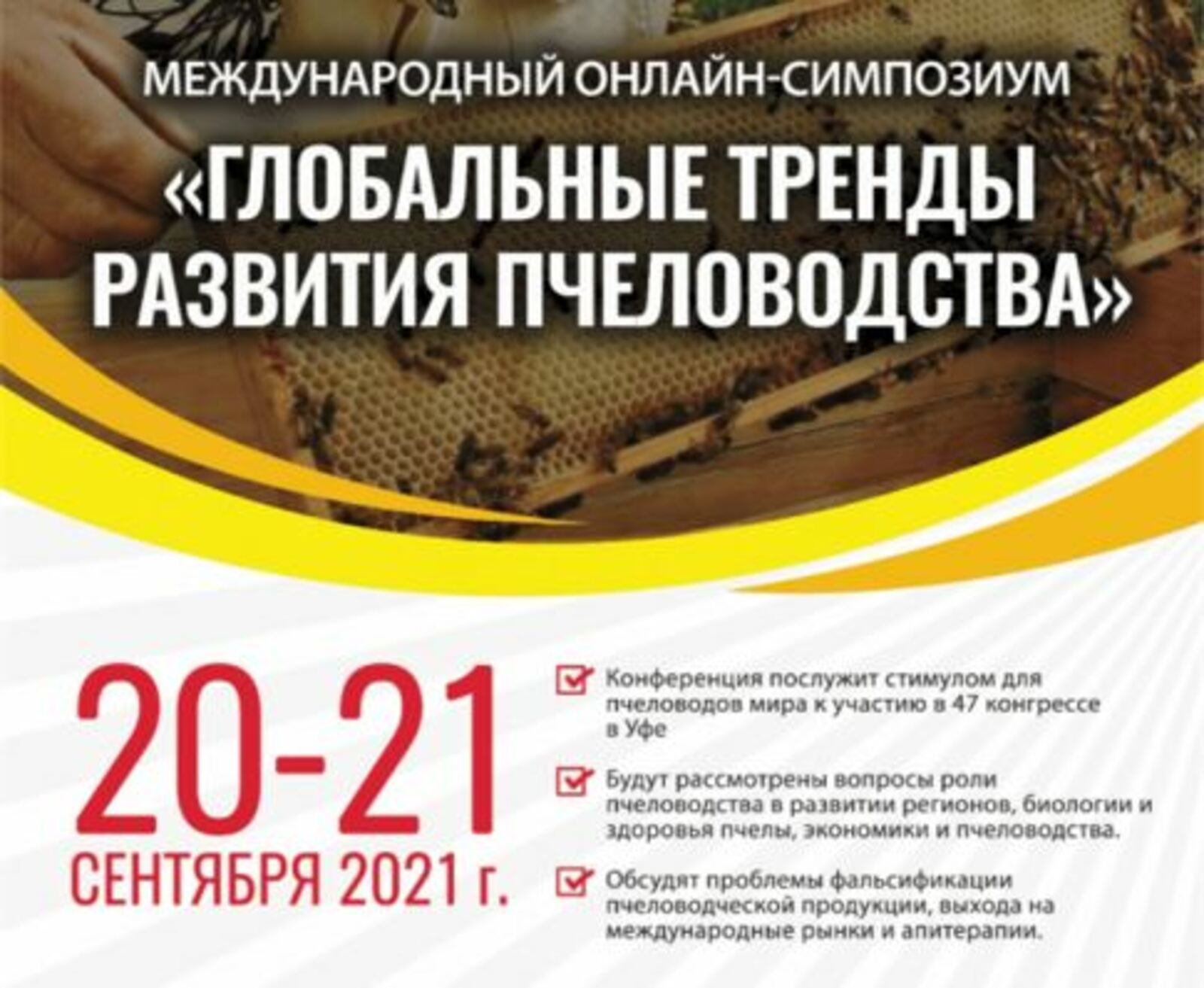 На международном симпозиуме по пчеловодству презентуют техтур «Шульган-Таш»