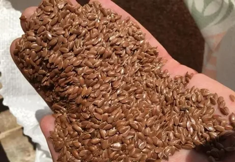 Башкирия экспортировал в Казахстан крупную партию льна