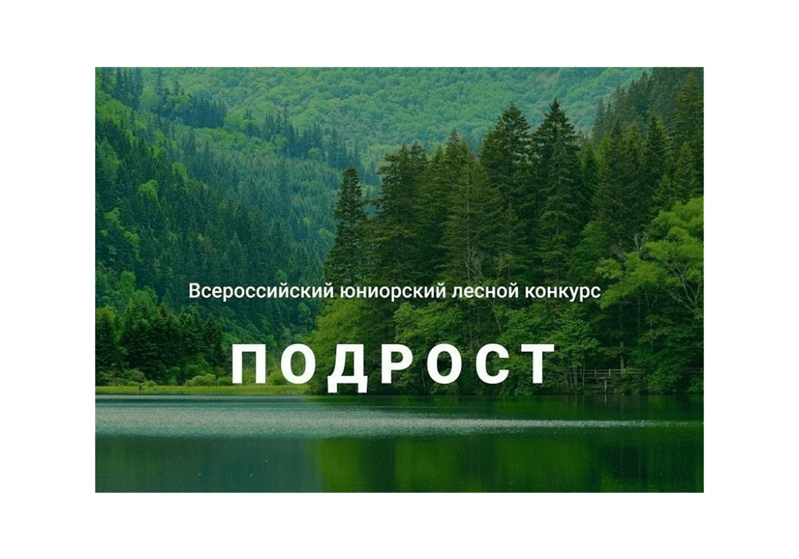 Завершился прием работ на региональный этап Всероссийского юниорского лесного конкурса «Подрост»