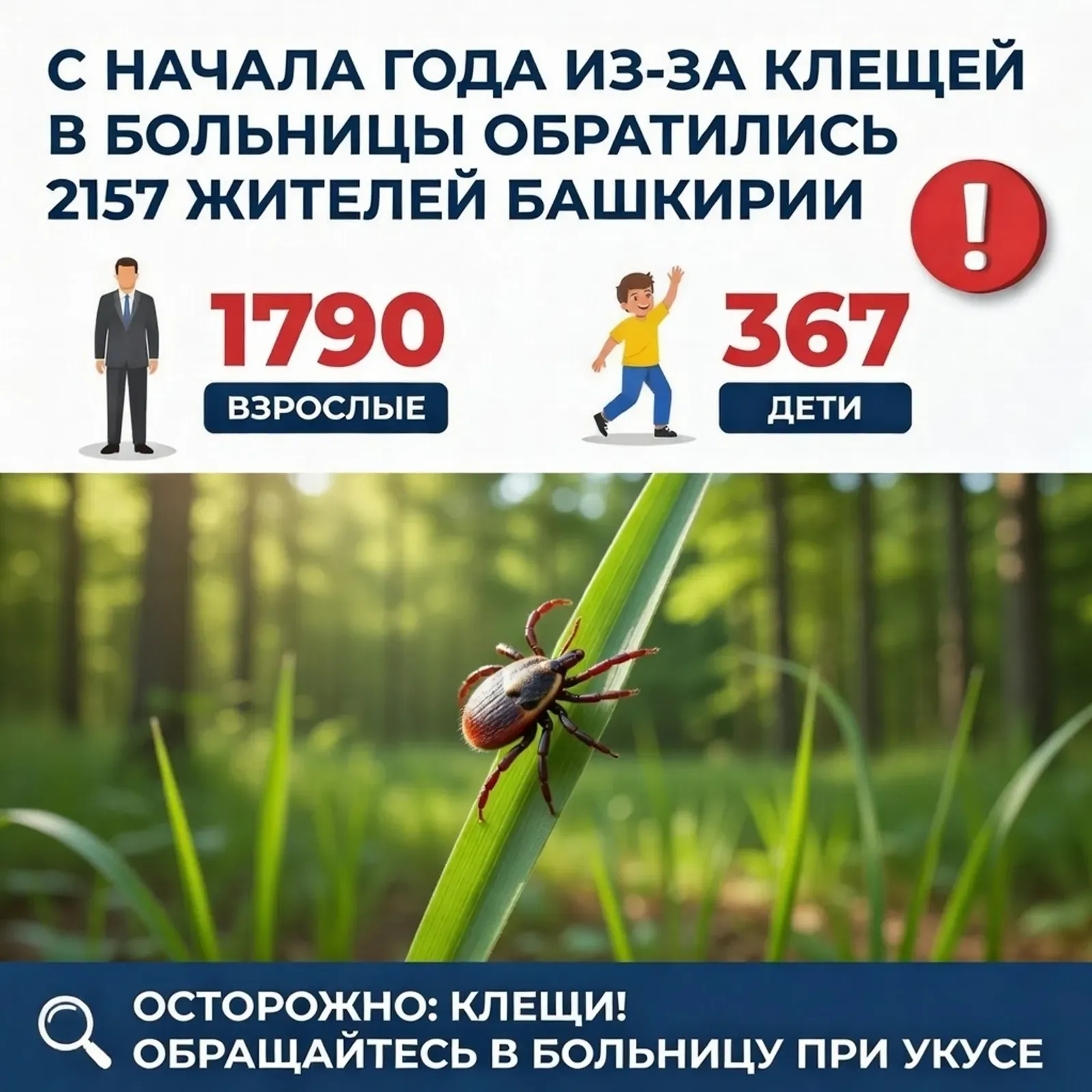 В Башкирии продолжают проводить противоклещевые обработки
