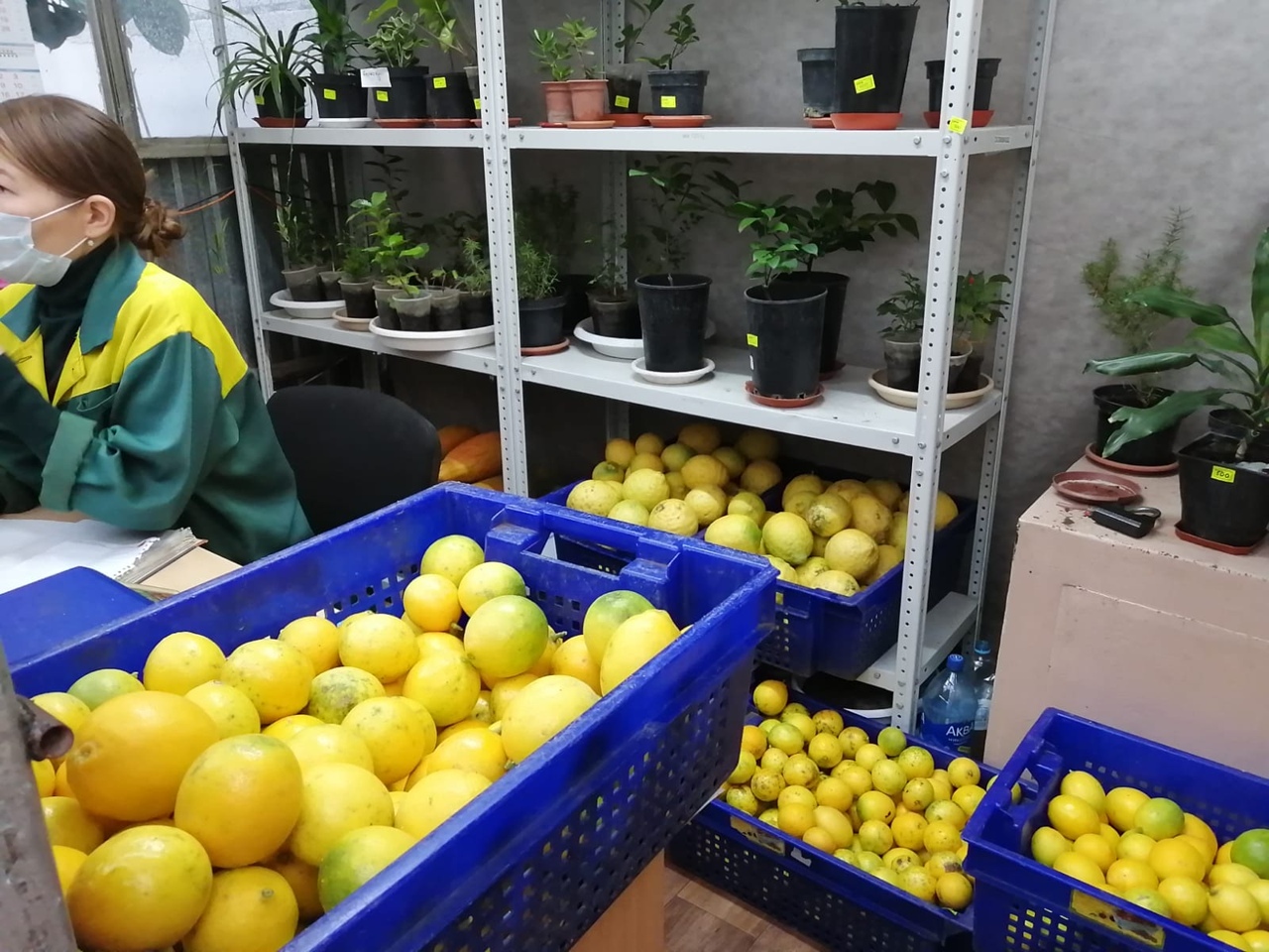 В Уфе наградили победителей конкурса «Лучшие товары Башкортостана – 2025»