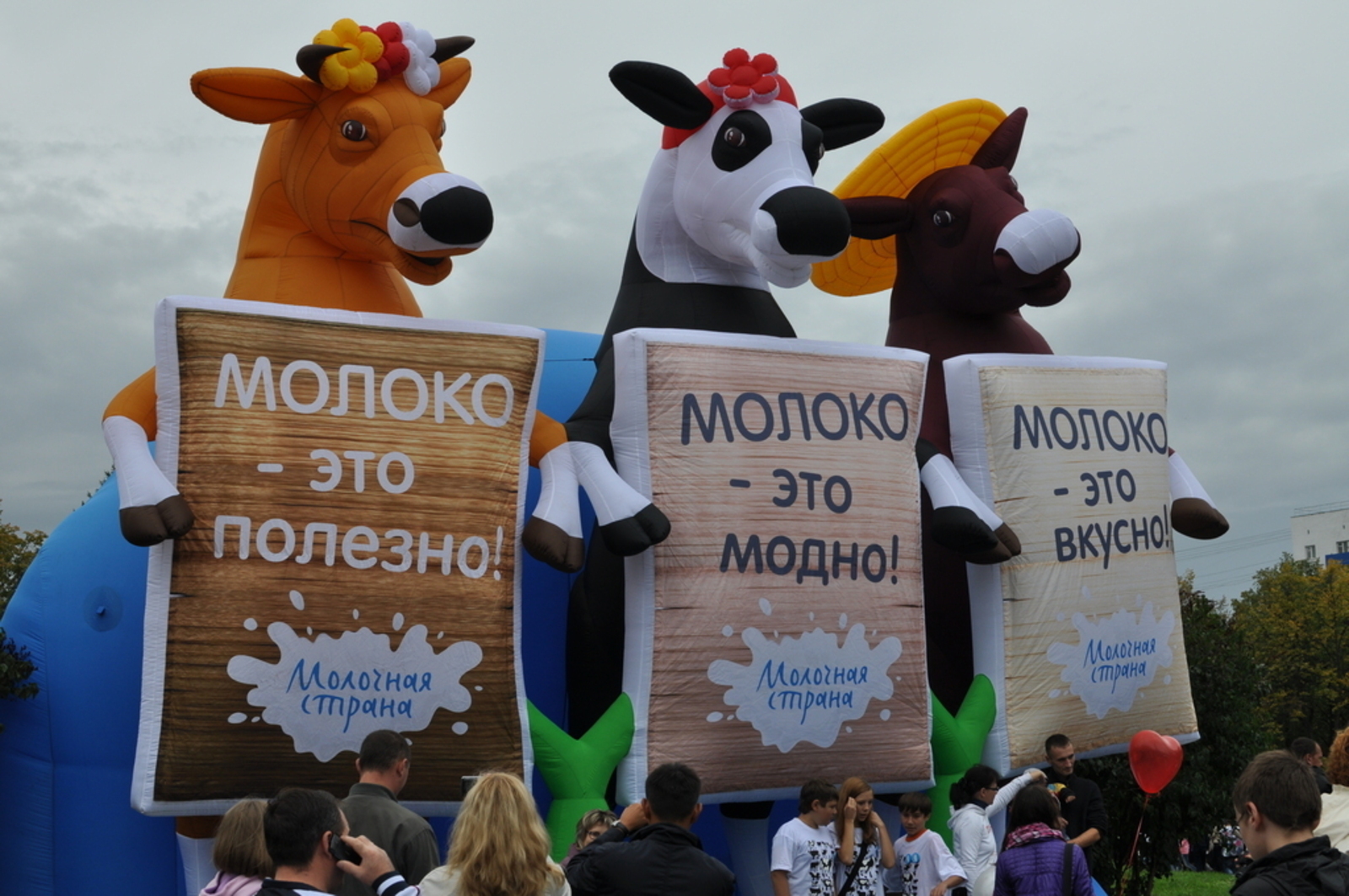 В Уфе на Набережной реки Белой состоится фестиваль «Молочная страна»