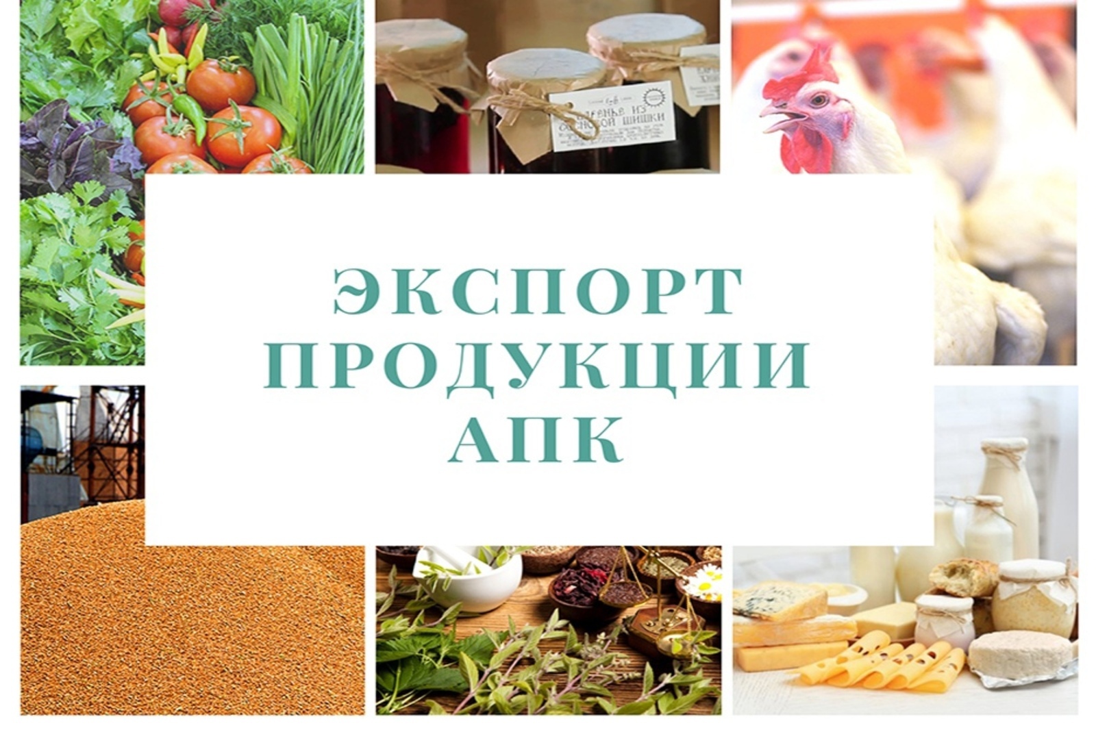 В Башкортостане ожидается около 250 экспортёров продукции башкирского АПК