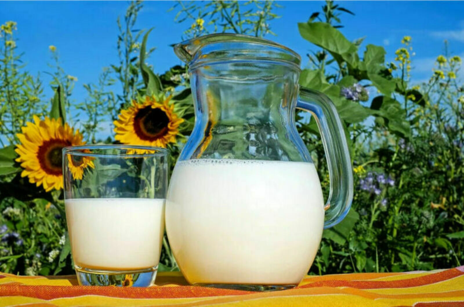 "Союзмолоко" в 2024 году прогнозирует рост производства товарного молока