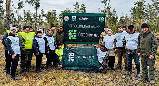 В Башкирии завершились мероприятия по восстановлению лесов