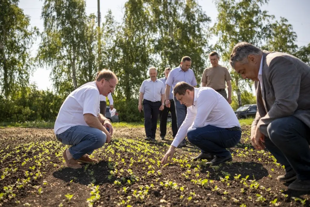В Башкирии засеяли 75% от планового объёма яровых культур