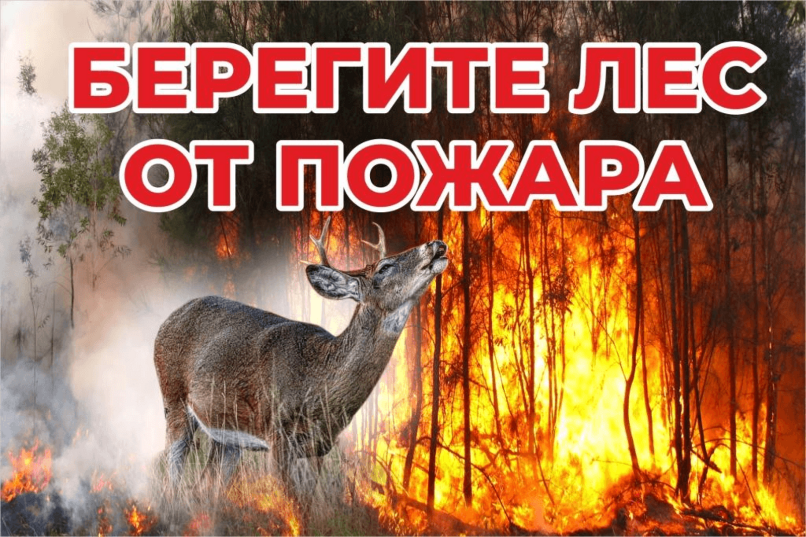 В лесах Башкортостана начался пожароопасный сезон