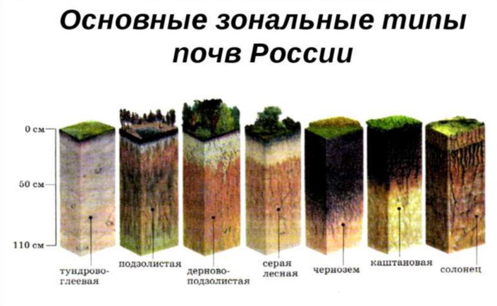 В России появится федеральная почвенная карта сельхозземель