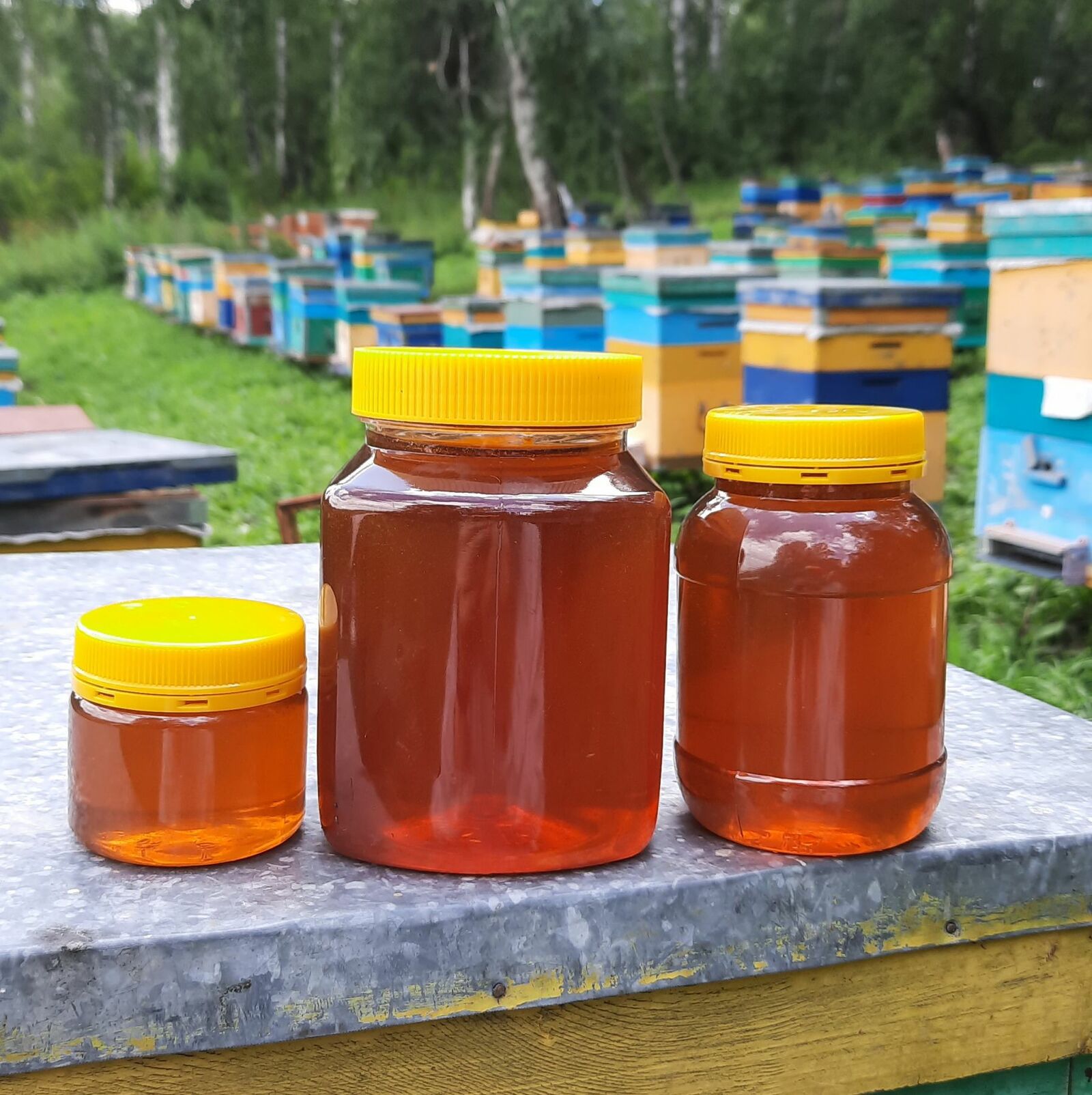 Как хранить мёд?