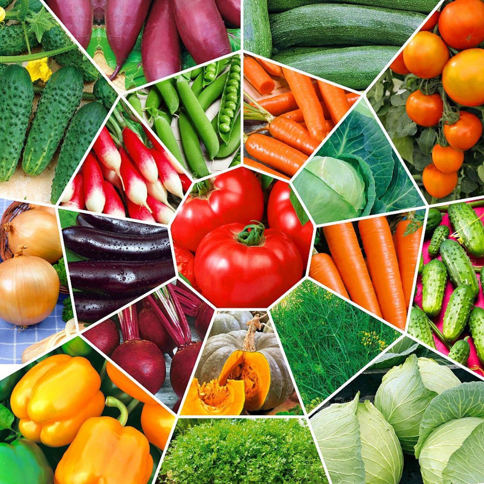 Как правильно выбрать семена овощных культур?