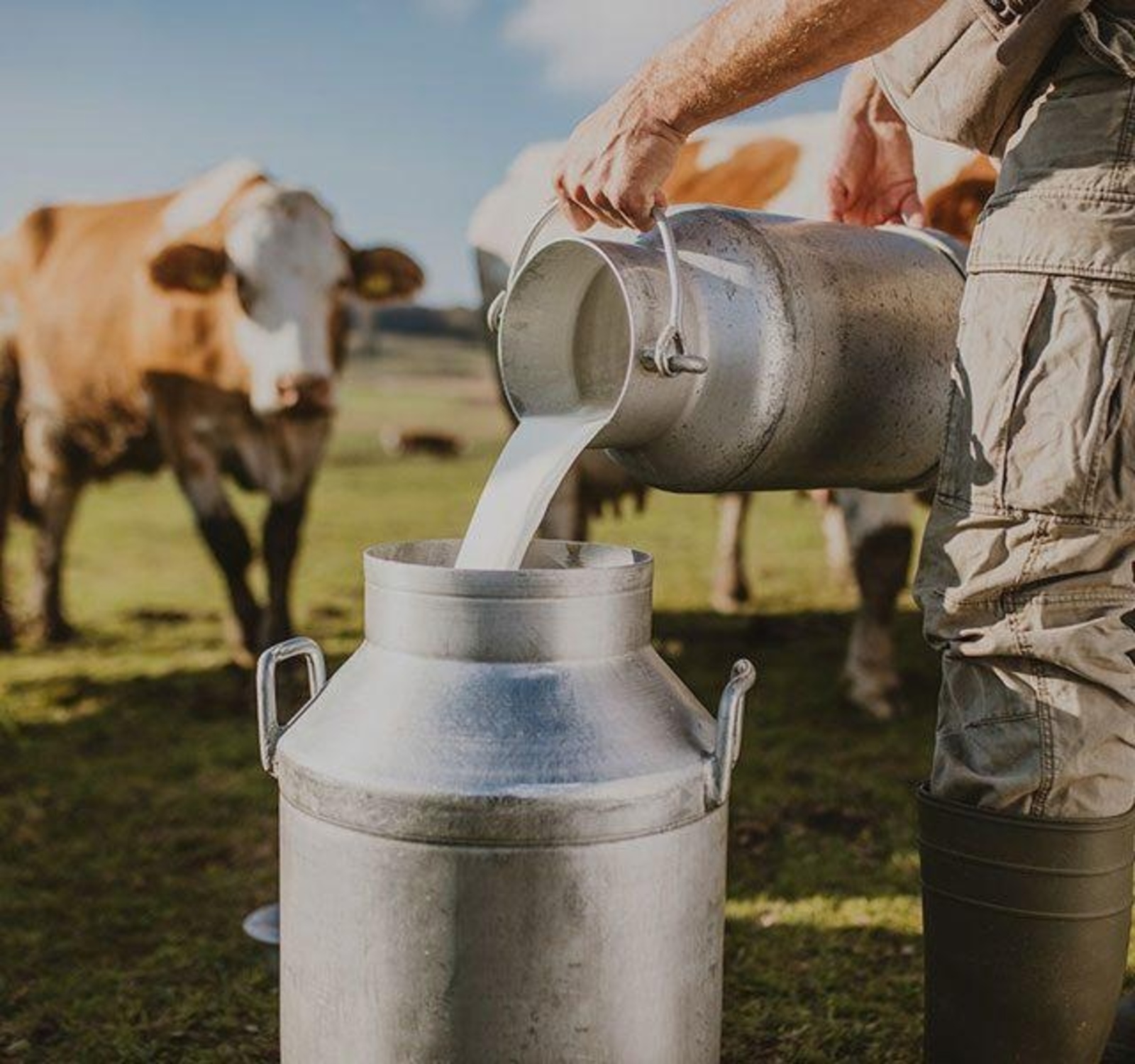 Производство товарного молока в Башкирии за 5 лет увеличилось на 10%