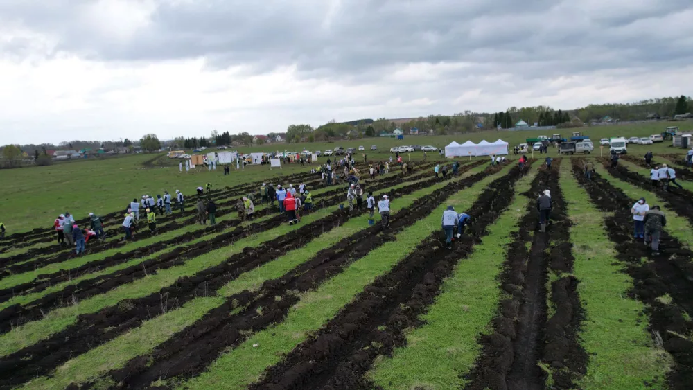 В Башкирии высадили «Лес Героев»