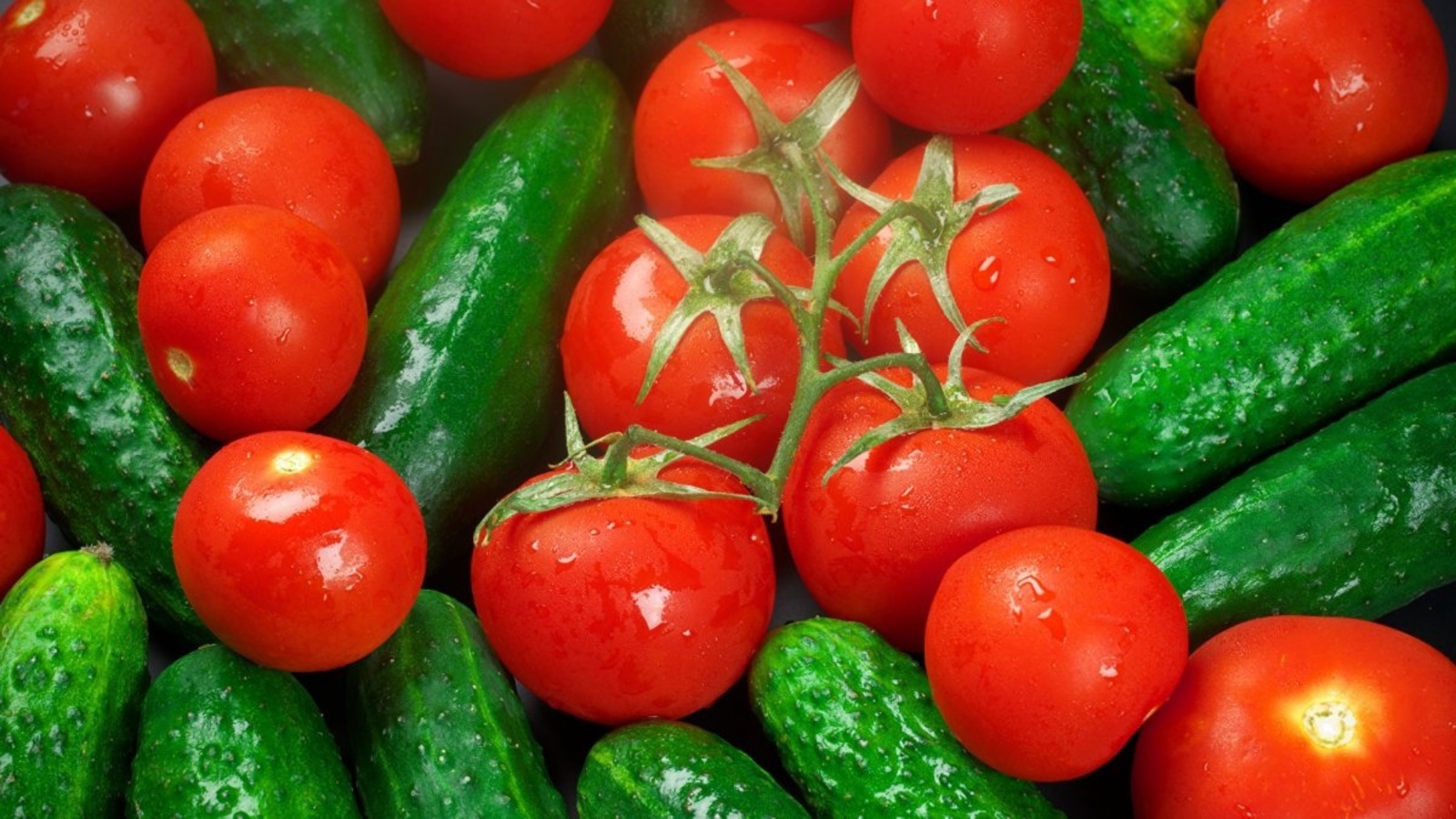 Производство огурцов и томатов в России будут планировать