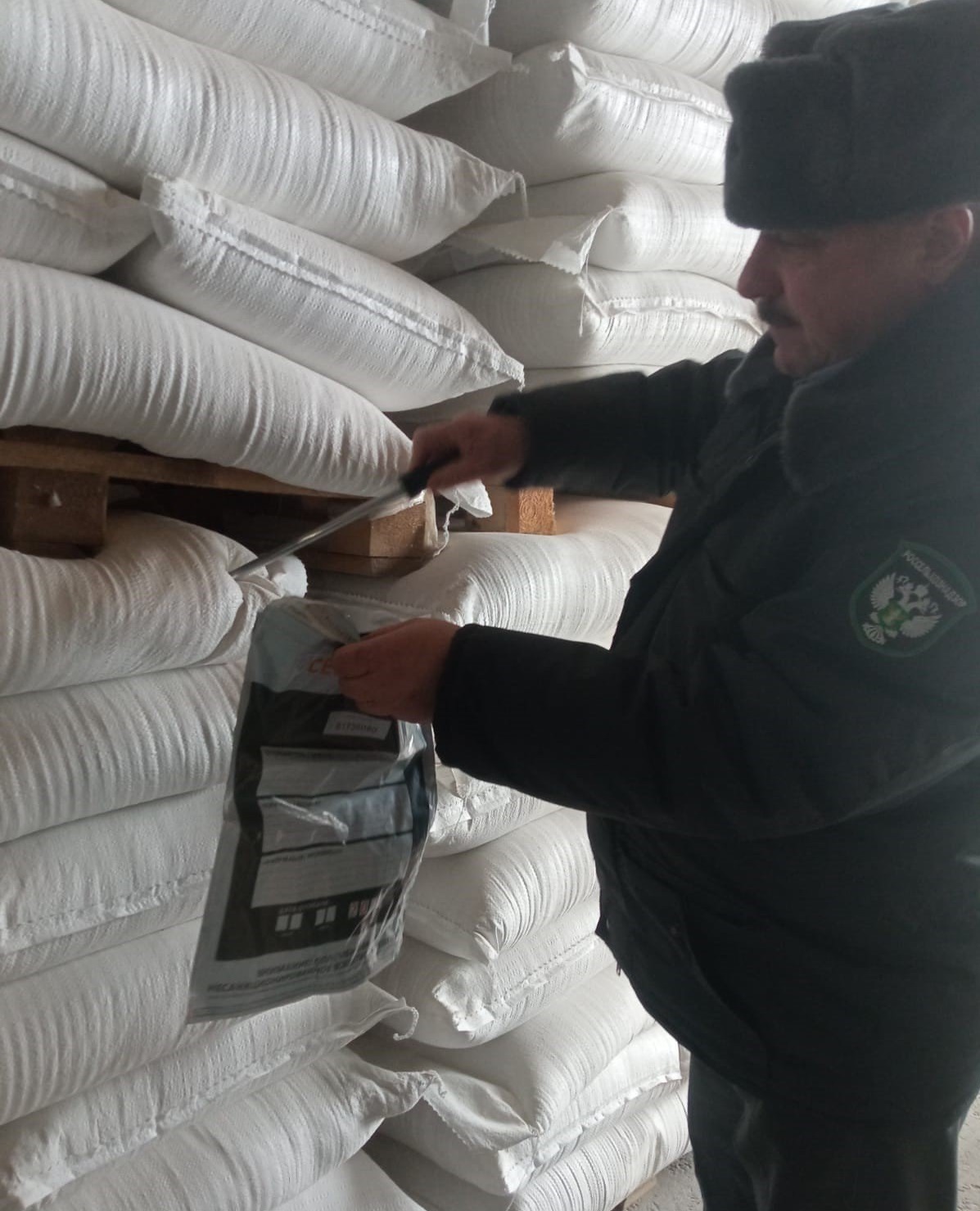Башкирские переработчики зерна почти в 3 раза увеличили экспорт отрубей за рубеж