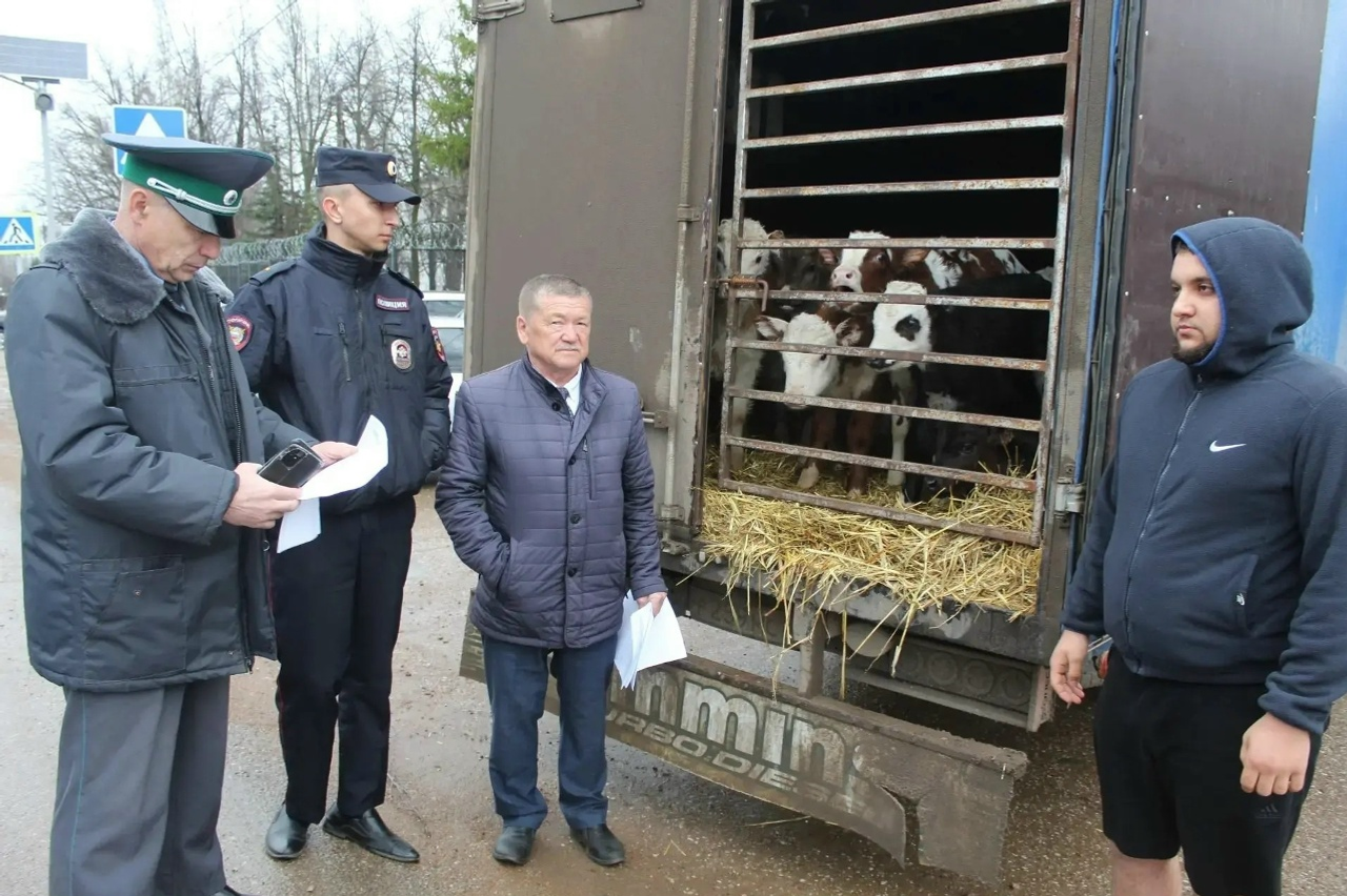 На страже эпизоотического благополучия