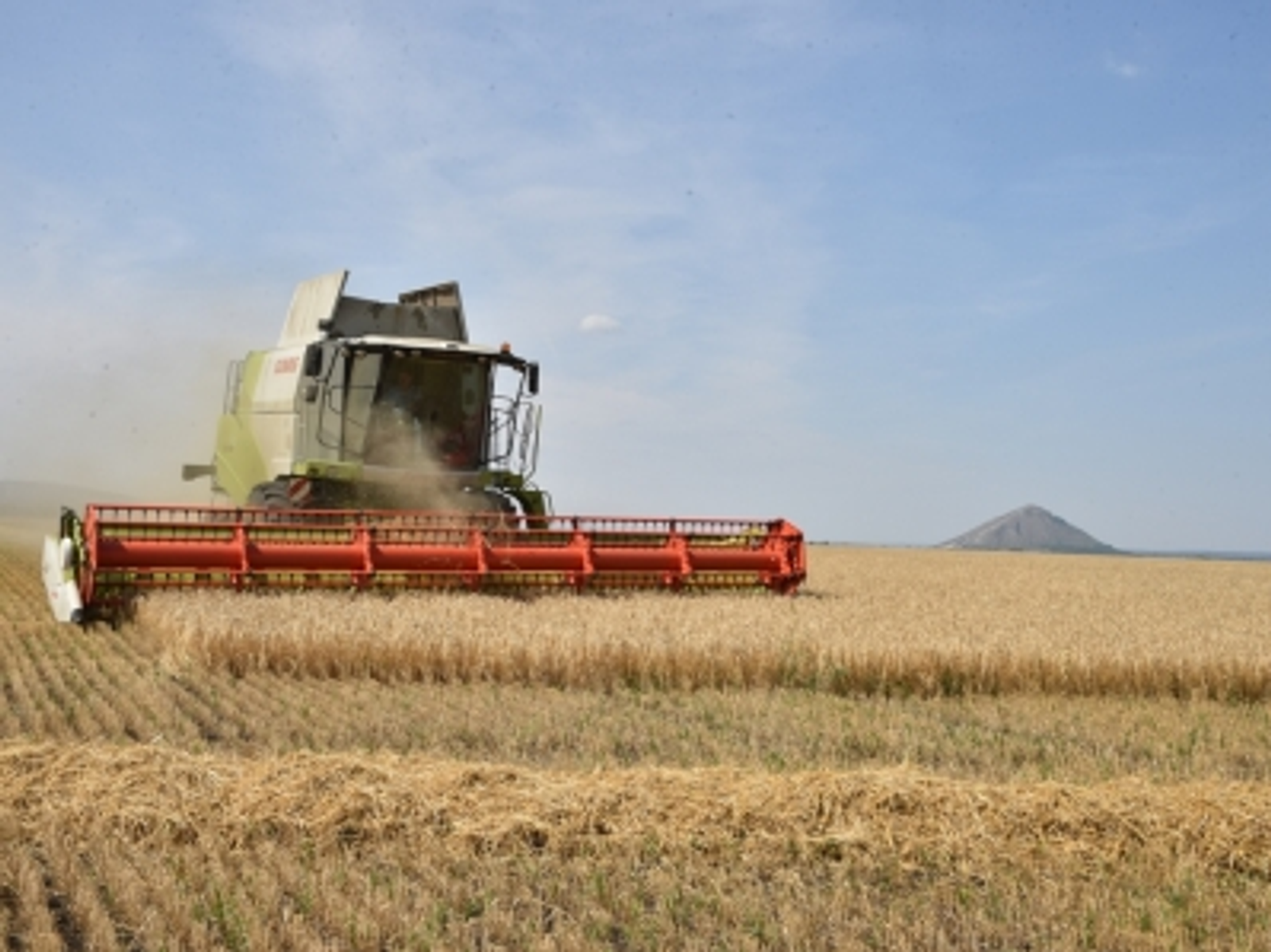 В Башкортостане собрали более 89% зерновых