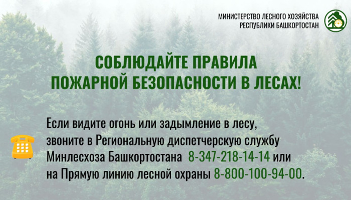 За месяц в Башкирии произошло 10 лесных пожаров