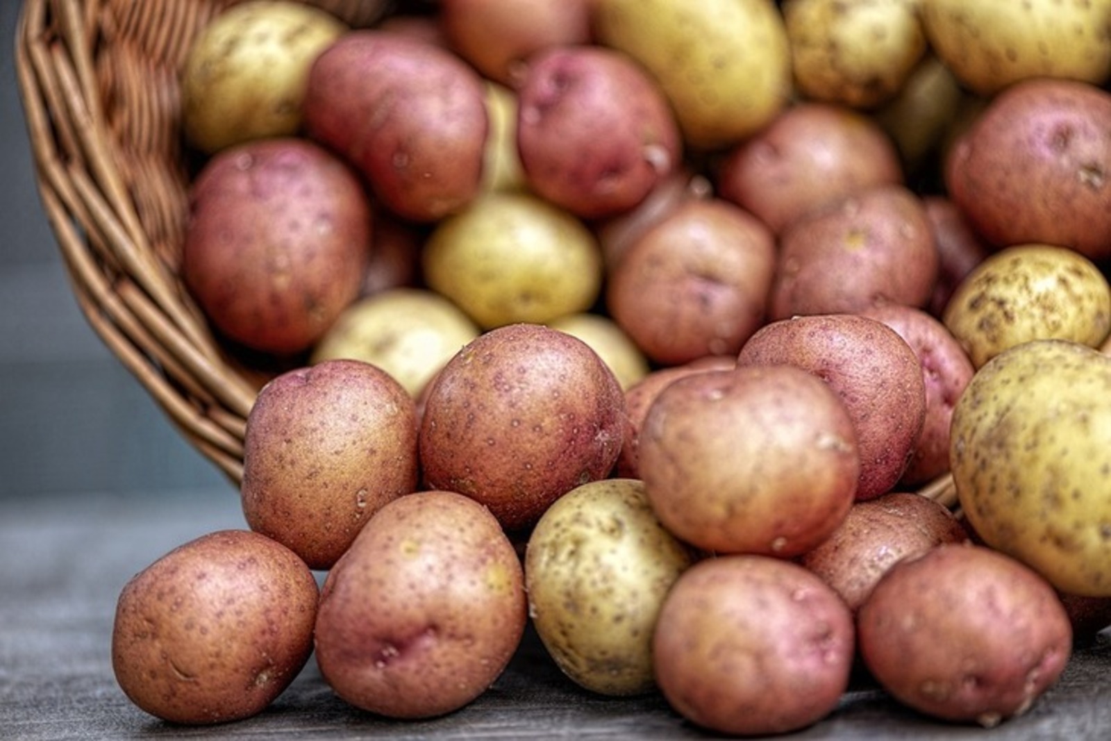 В Великобритании появится углеродно-нейтральный картофель