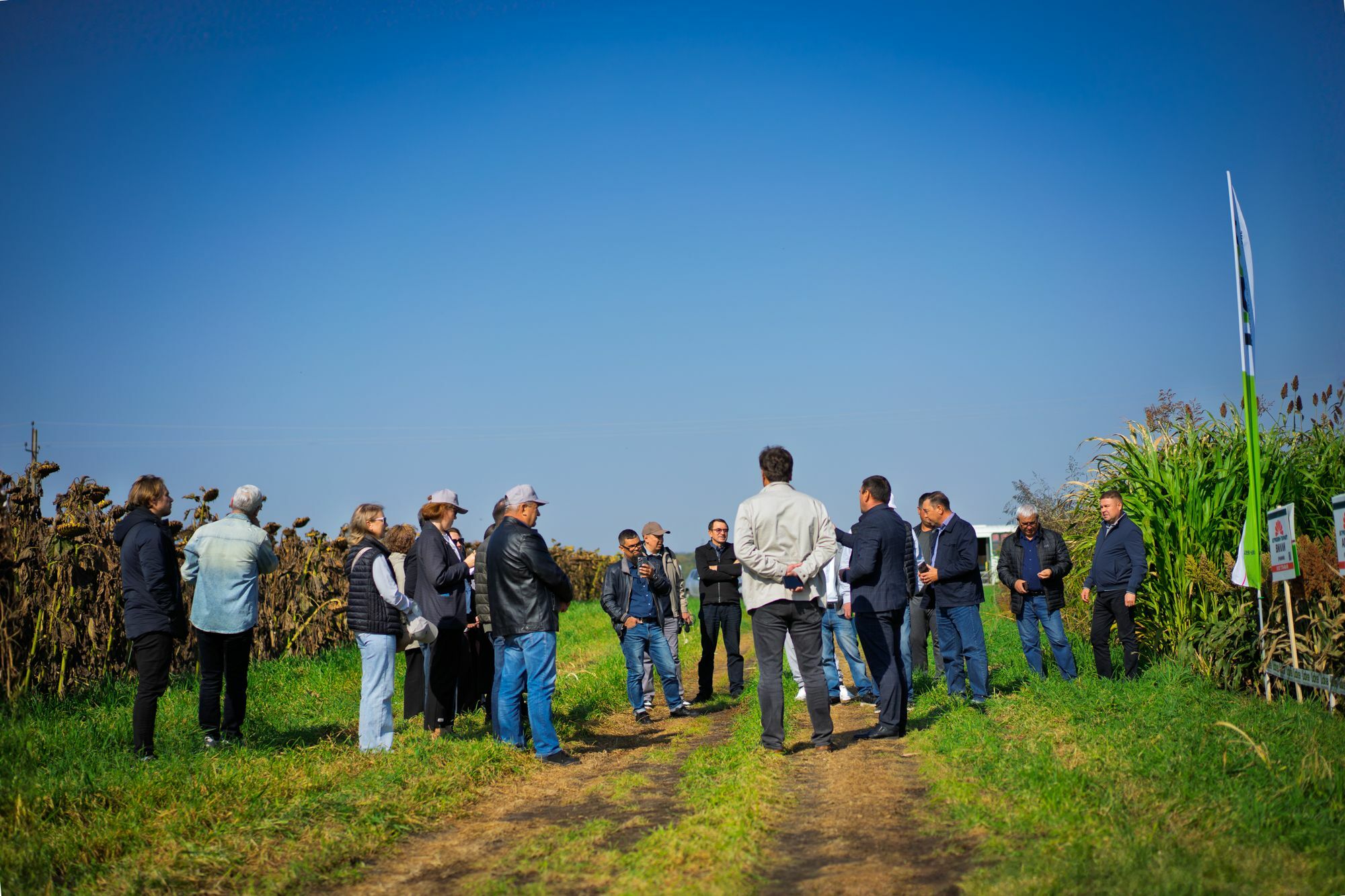 Аграрии Башкортостана интересуются сорго