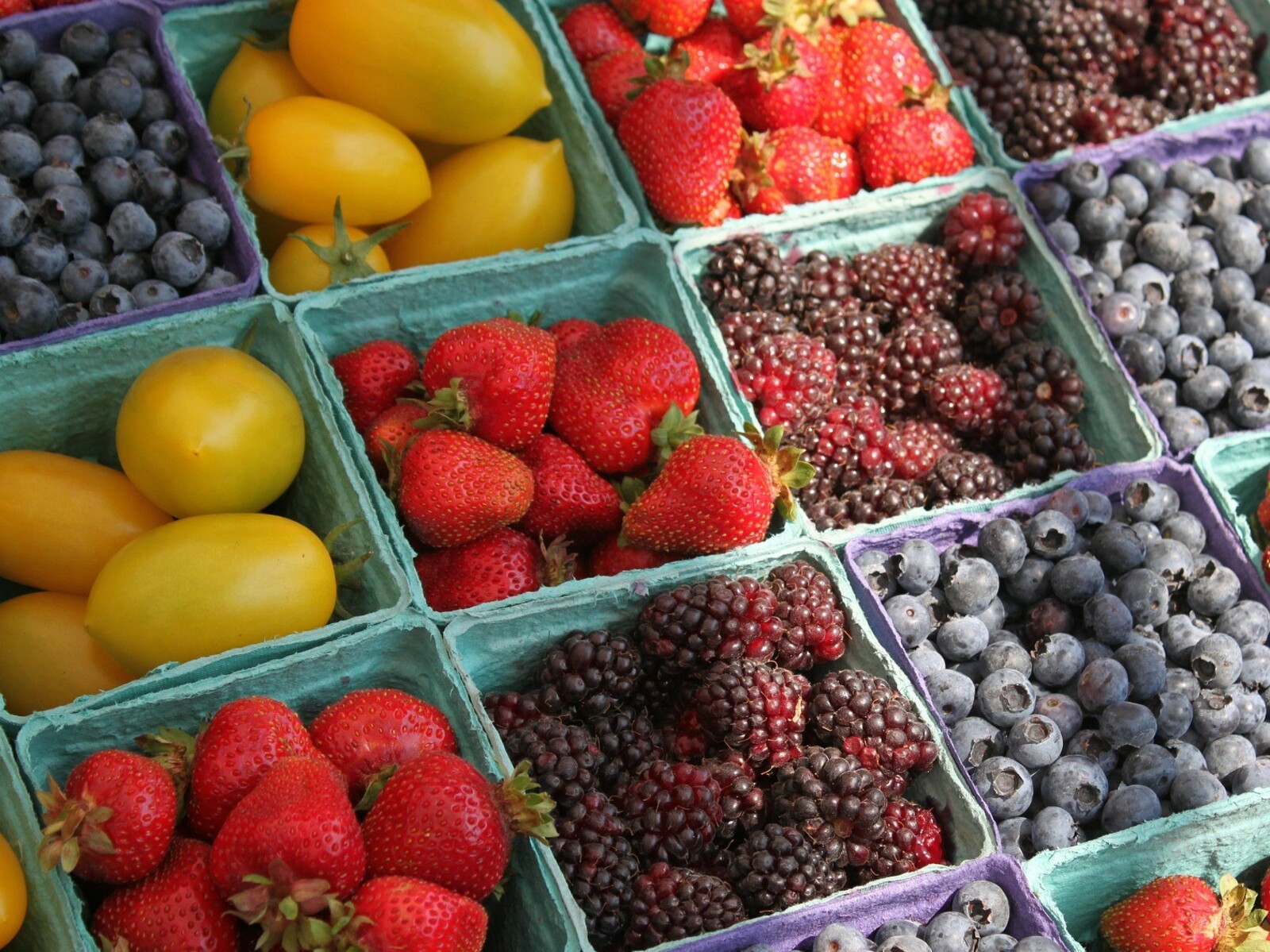 Урожай плодов и ягод в России может вырасти более чем на 20 процентов