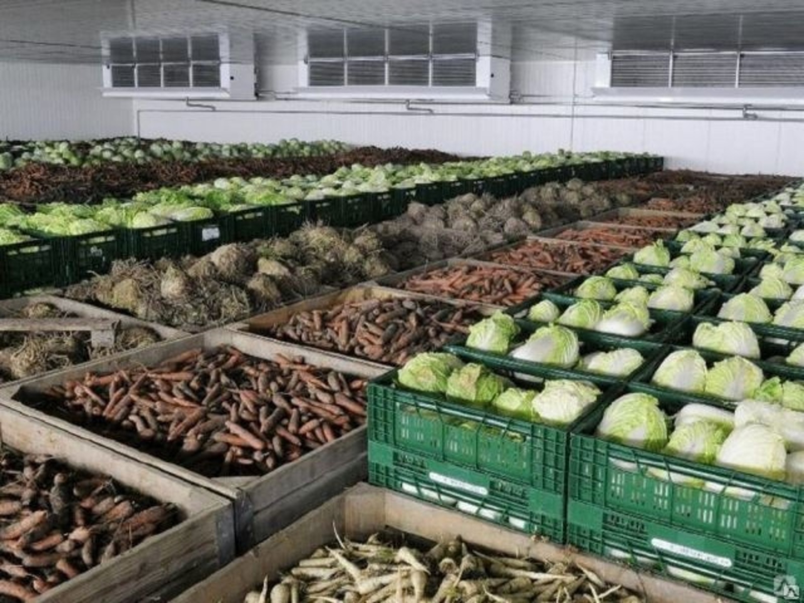 Российские аграрии столкнулись с нехваткой овощехранилищ