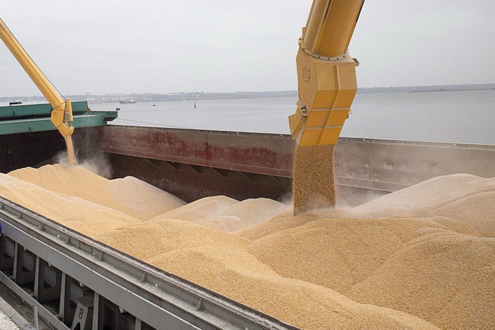 Экспорт пшеницы в январе стал рекордным