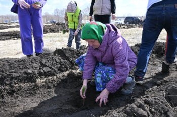В Кушнаренковском районе высадили геоглиф «Победа - 80»