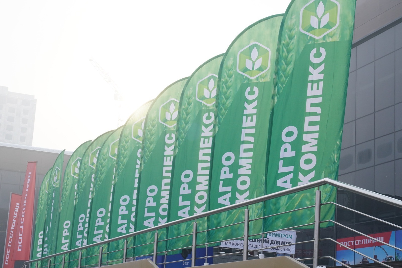 В Башкортостане сегодня запустили сразу три новых сельхозпроизводства