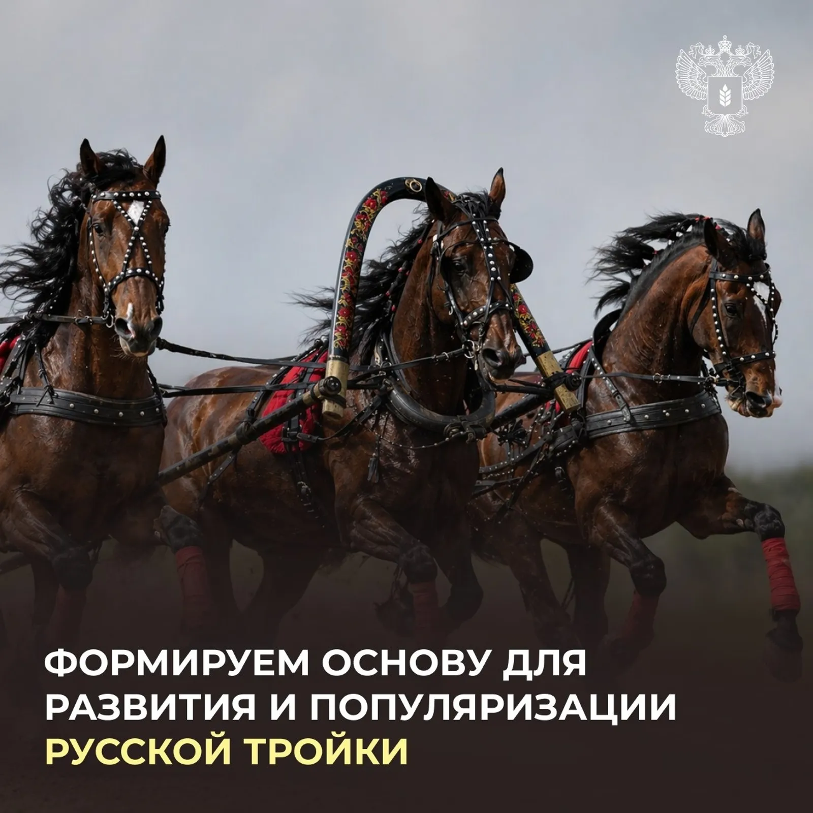 пресс-служба Минсельхоза России
