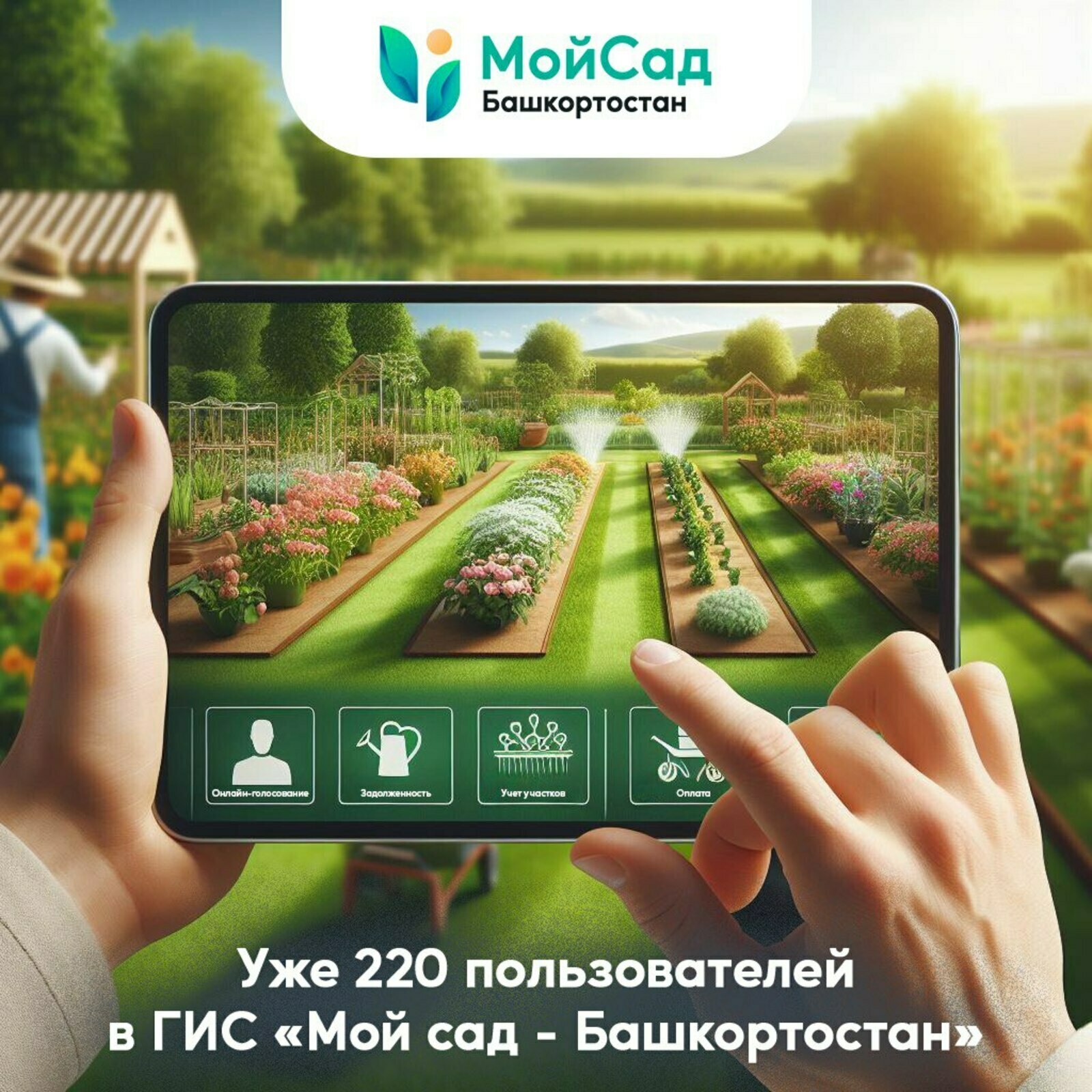В Башкирии более 200 СНТ присоединились к тестированию цифровой системы «Мой сад»