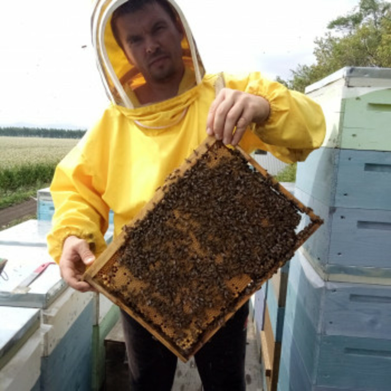 Пчеловод из Белорецкого района увеличил пасеку в 3,5 раза