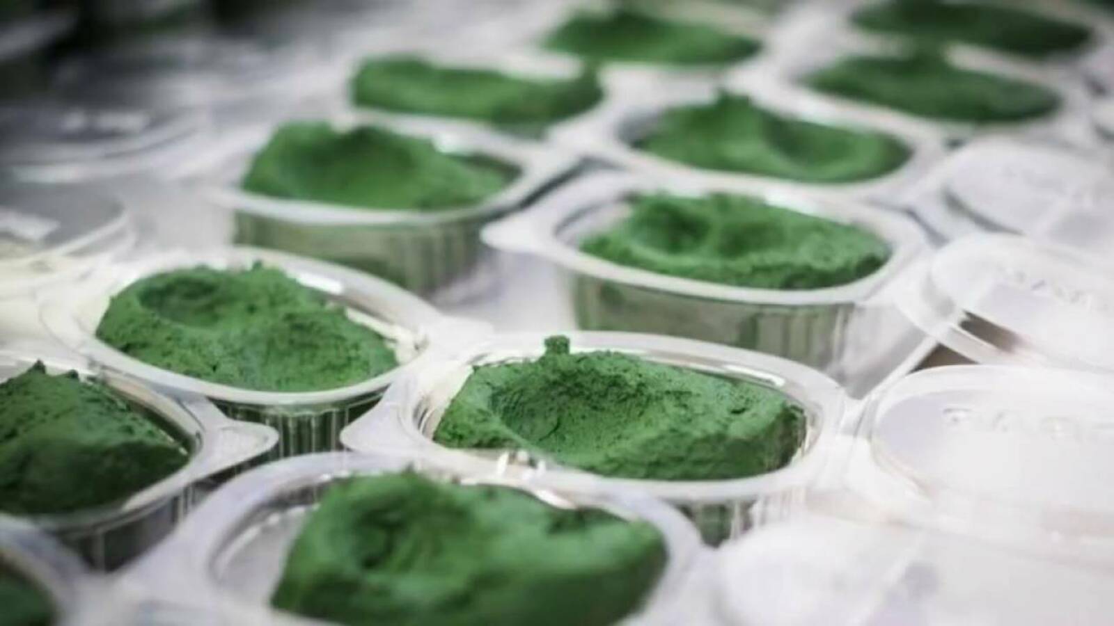 В Дании создали мороженое на основе микроводорослей