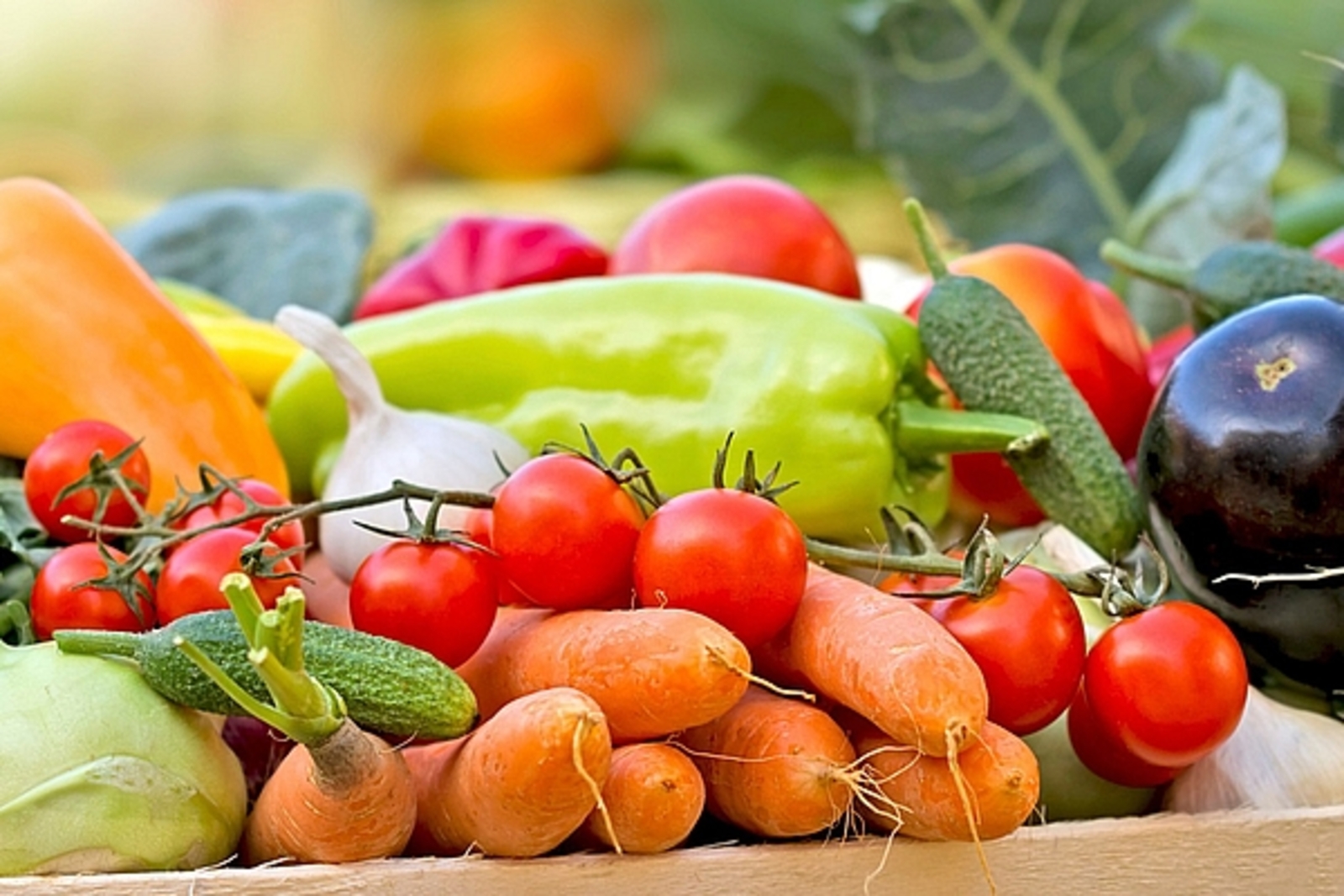 В России собрано около 6,3 миллиона тонн овощей