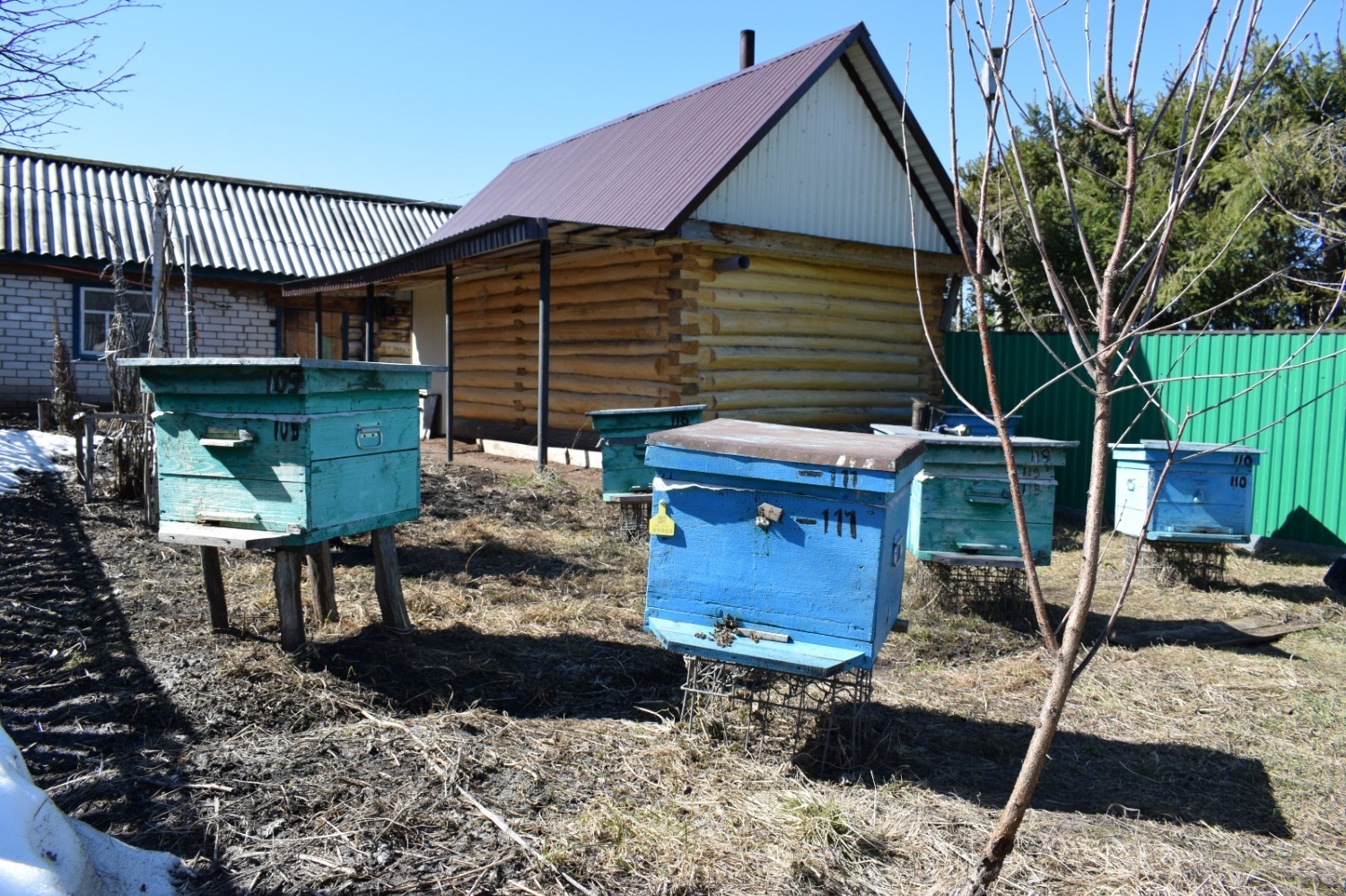 В Башкирии прошёл рейд в рамках операции «Пчела»