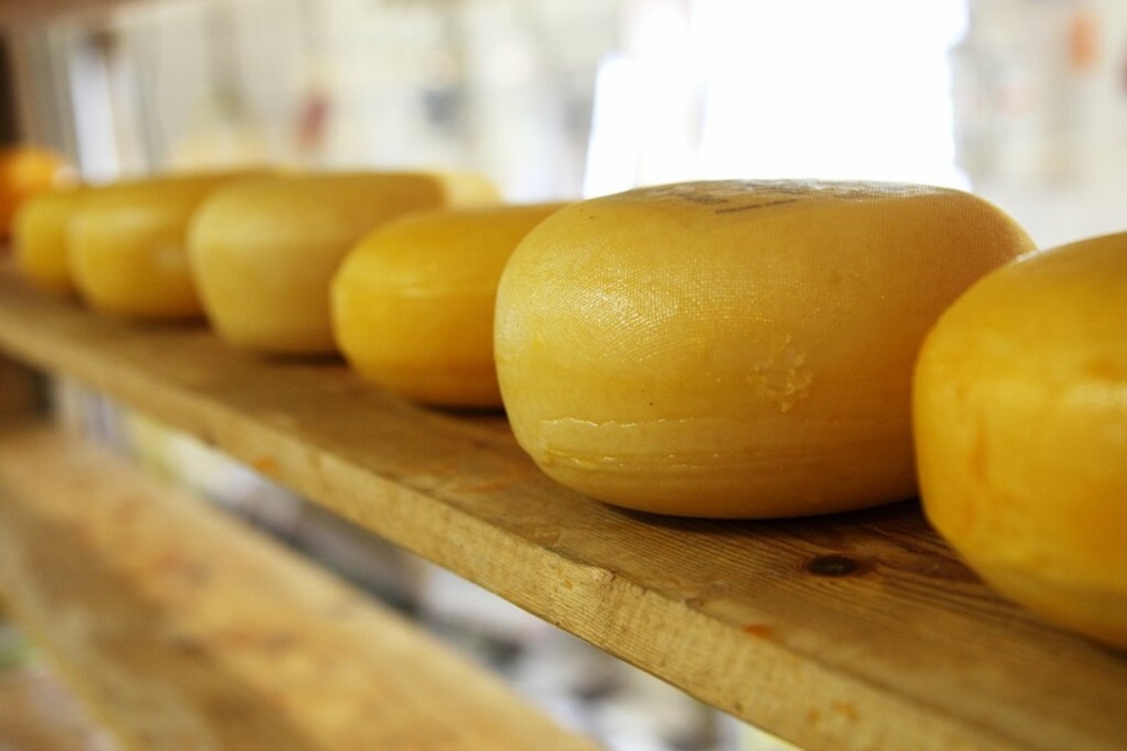 Российские учёные создали "антипростудный" сыр