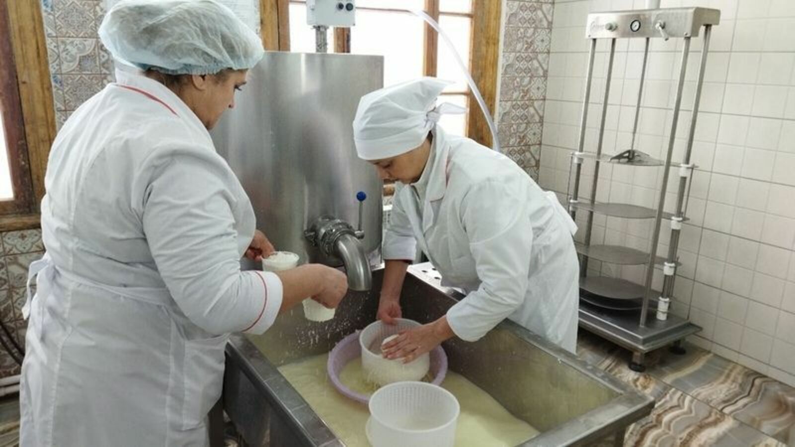 В Давлекановском районе республики запустили производство эко-сыров под брендом «Баба Яга»