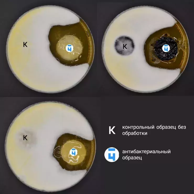 В России разработали антибактериальную упаковку продуктов