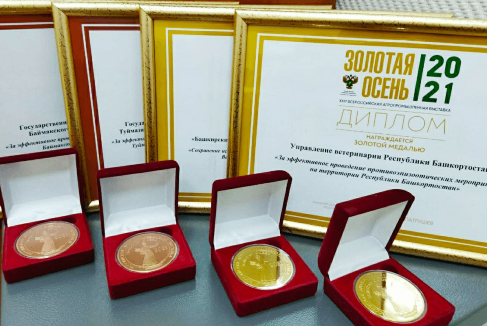Управление ветеринарии Башкортостана стал обладателем золотой медали на агровыставке "Золотая осень"