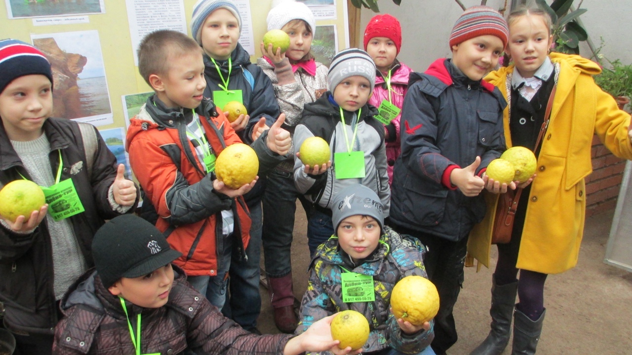 Уфимский лимонарий — точка притяжения для жителей и гостей Башкортостана