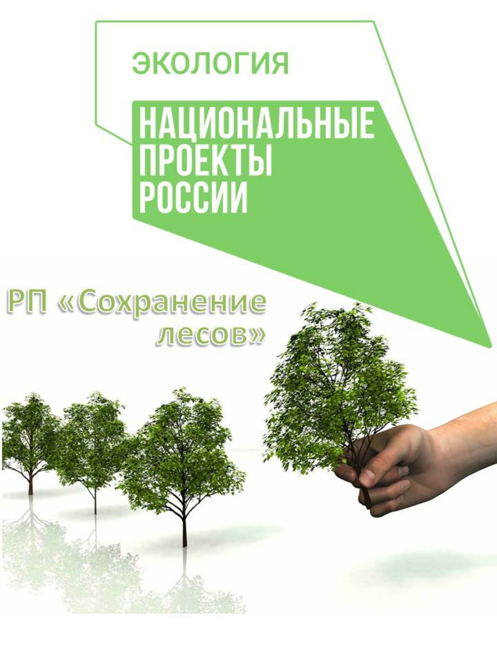 Минлесхоз Башкортостана продолжает авиапатрулирование лесов