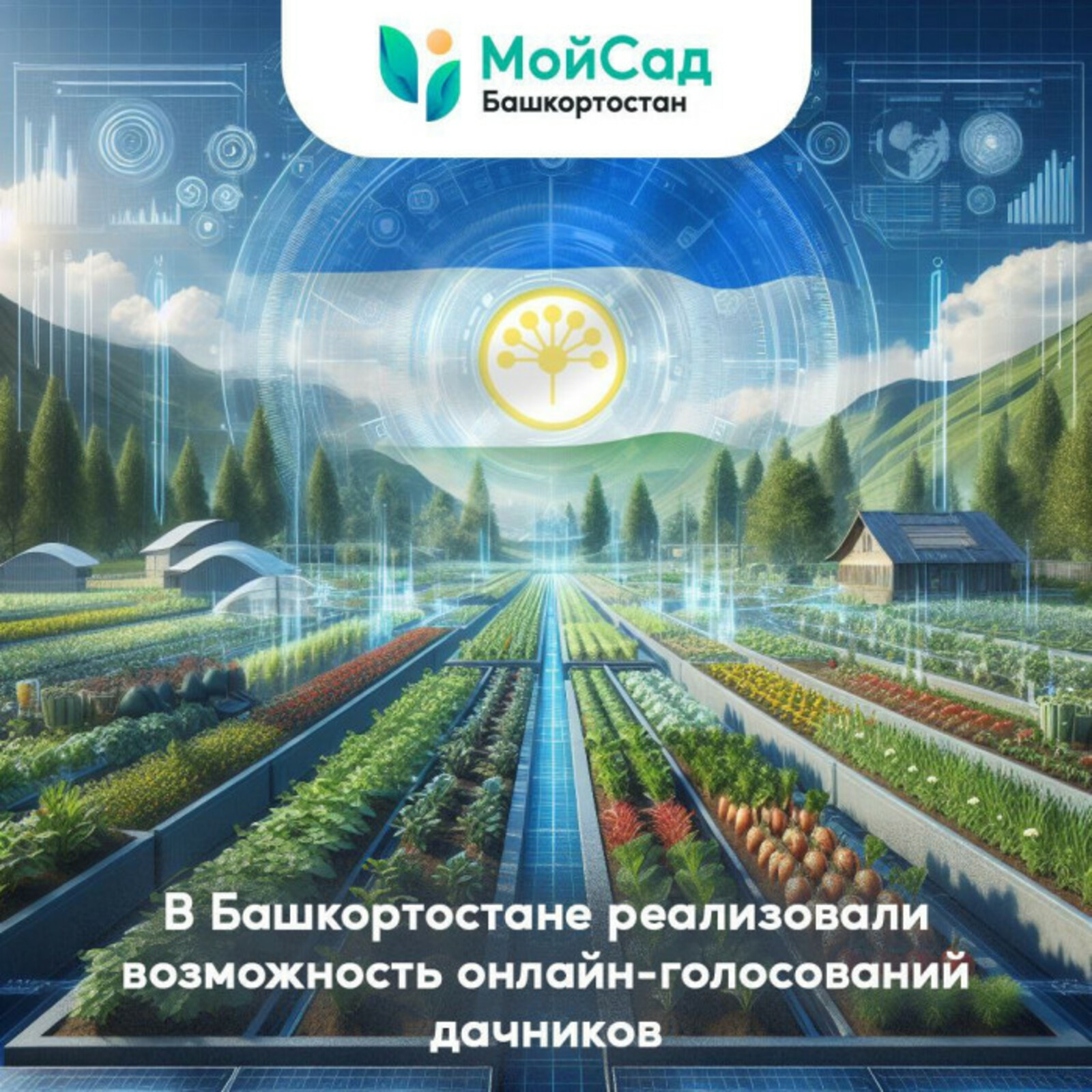 В Башкортостане реализовали возможность онлайн-голосований дачников