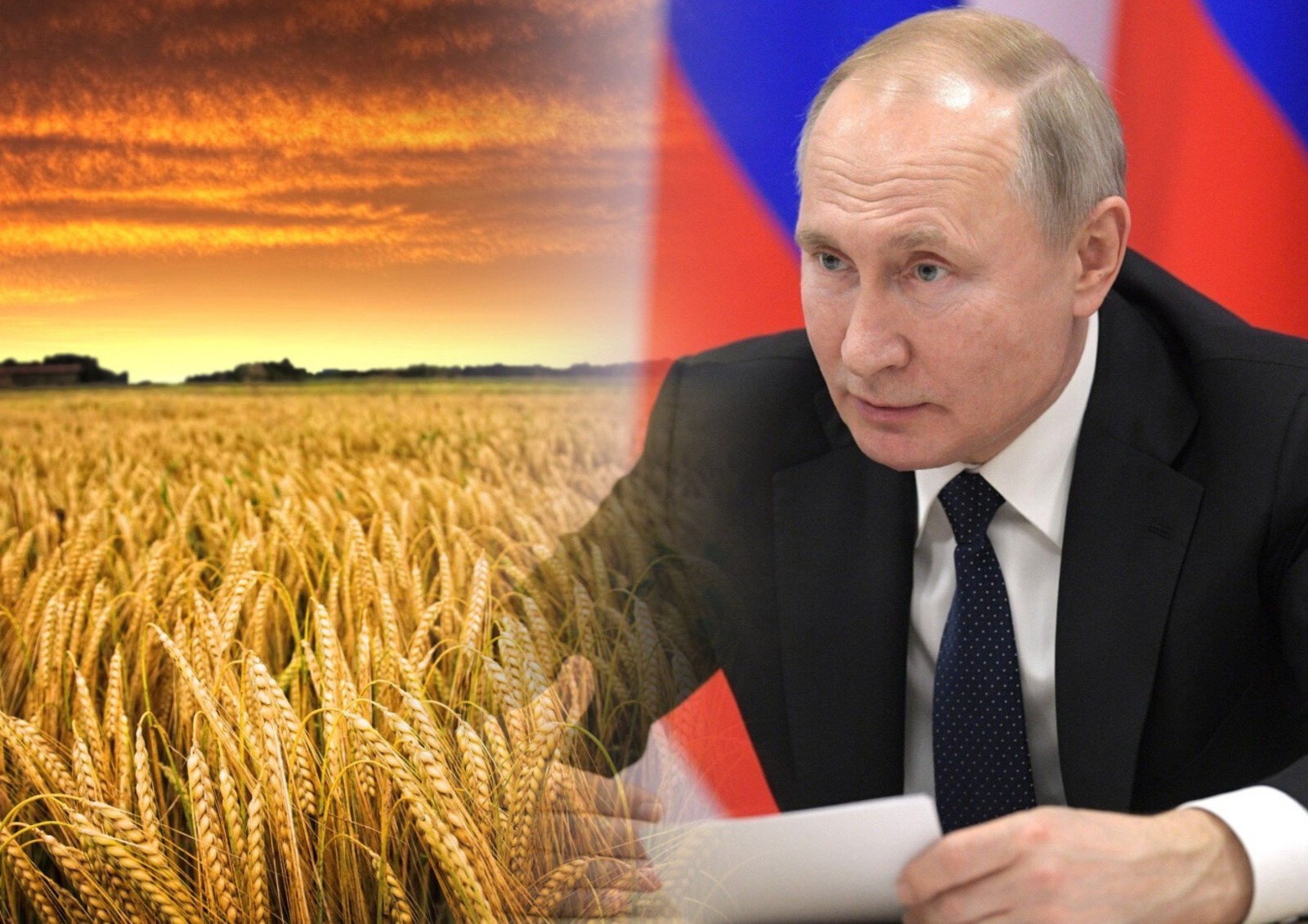 Путин поручил увеличить к 2030 году экспорт АПК