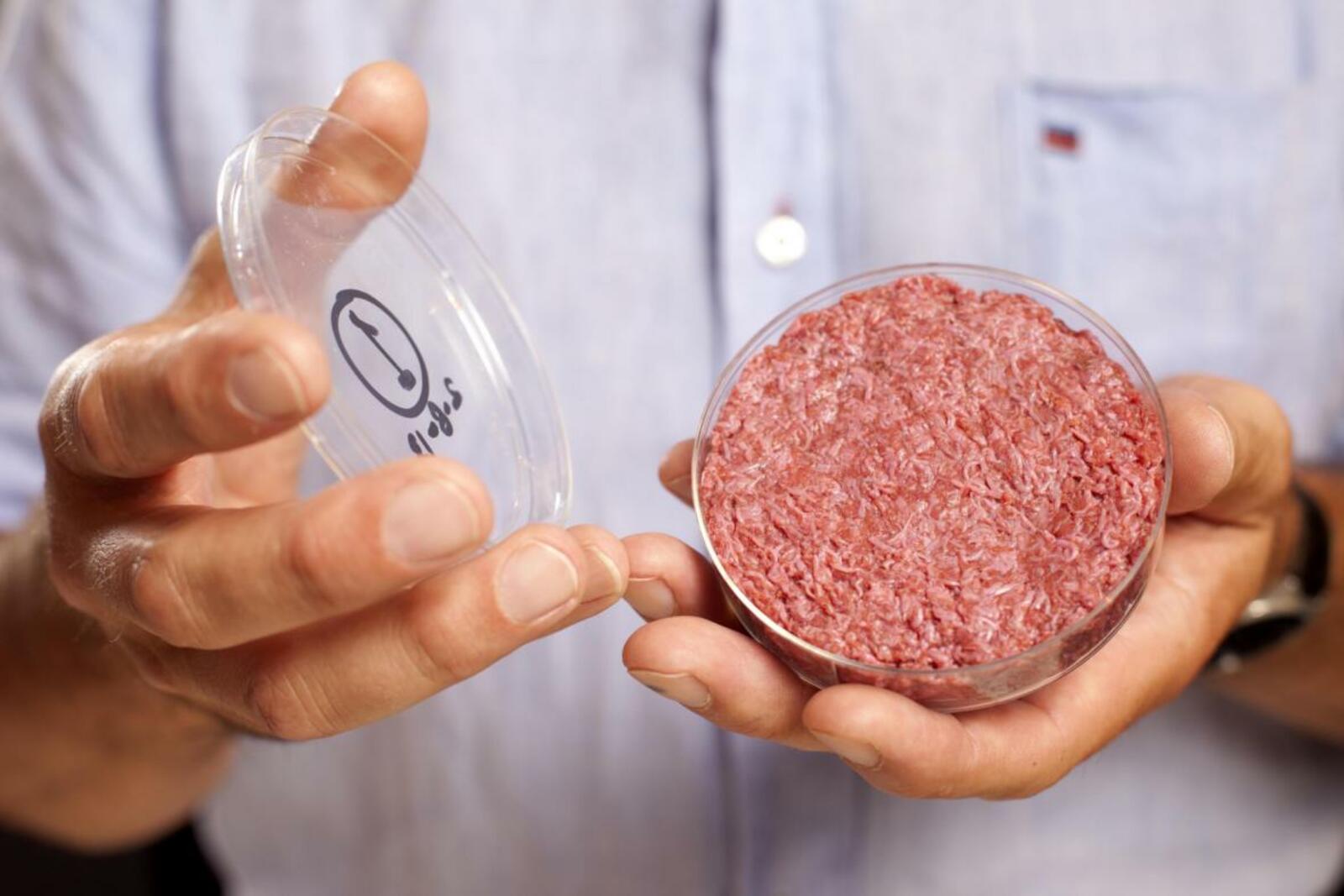 Голландские учёные получат 2 млн евро на культивацию искусственной говядины
