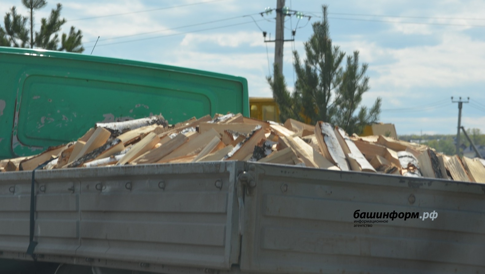 Нарубили дров на более чем шесть миллионов рублей