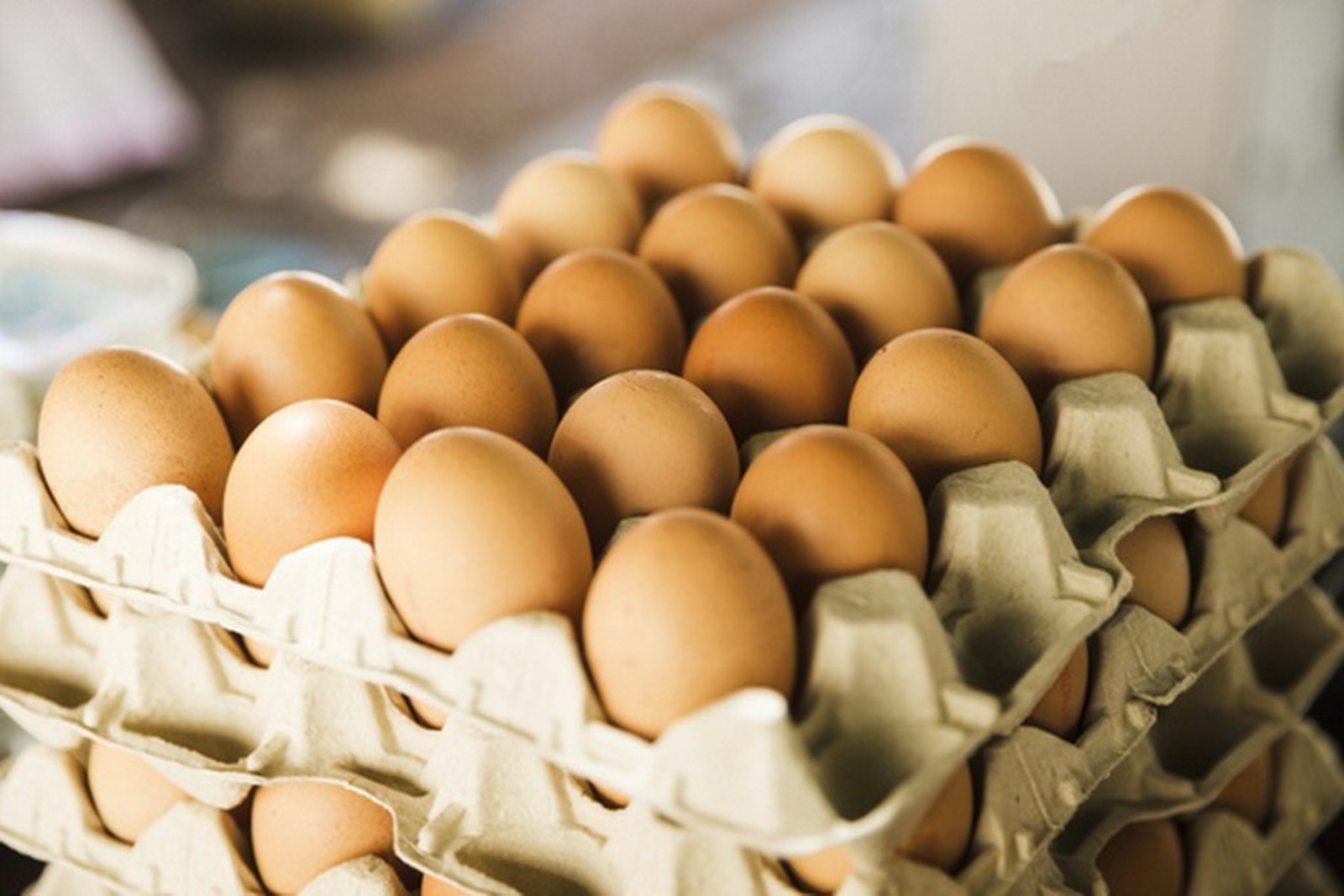 Россия импортирует яйца ещё из одной страны