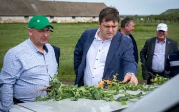 Посевная в Башкортостане прошла экватор