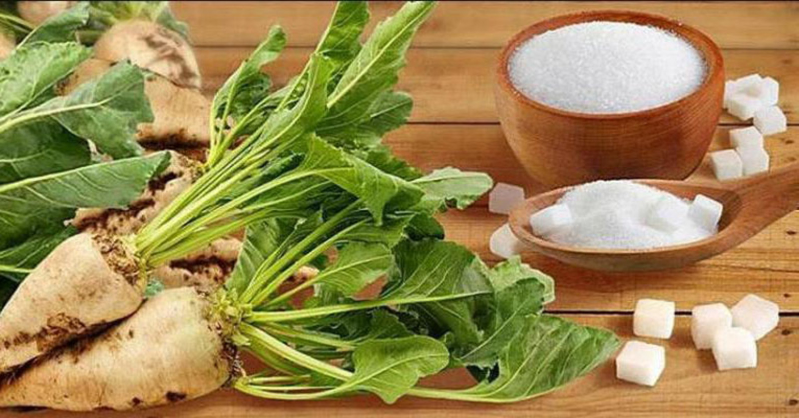 Сахарные заводы Башкирии завершили производственный сезон