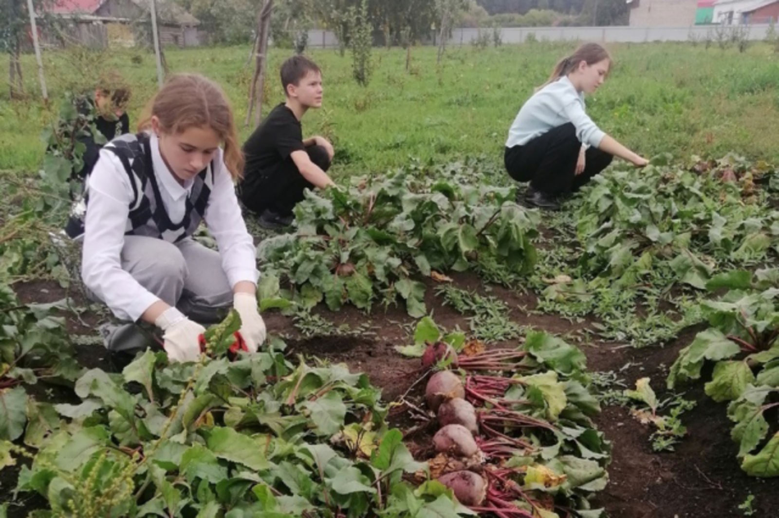 В 17 школах Башкортостана воспитывают юных агрономов