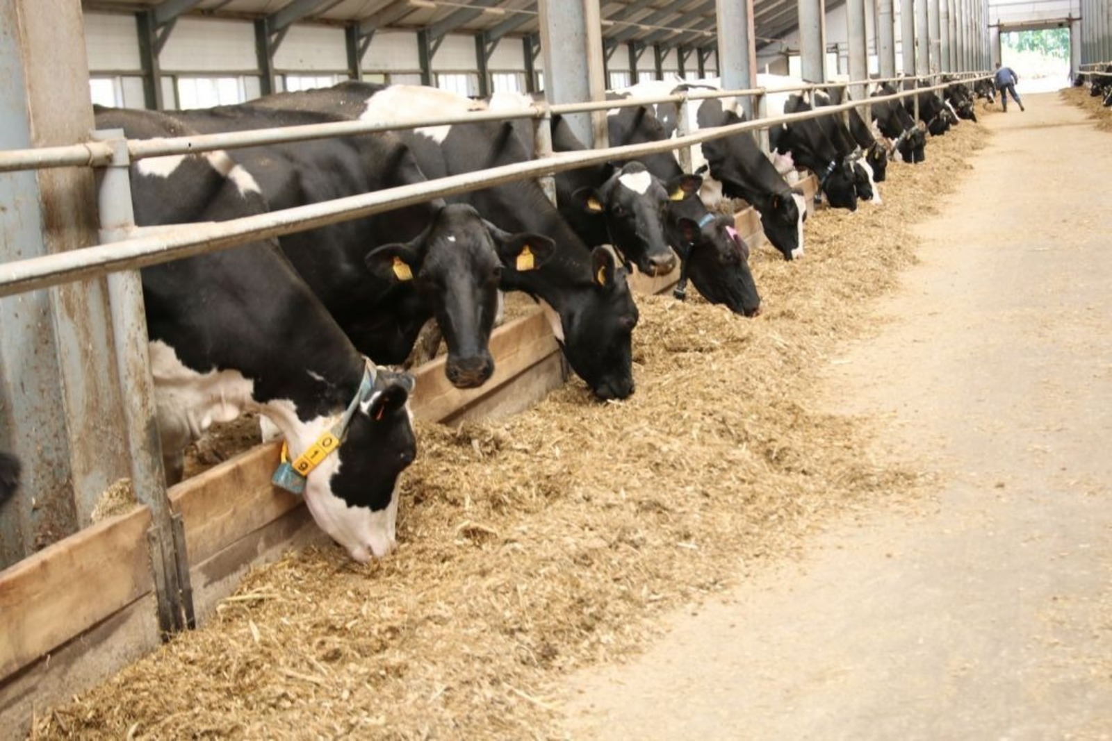 пресс-служба Минсельхоза РБ